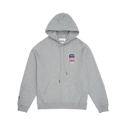 Avirex “Icon” Hoodie Heather Grey  (M)